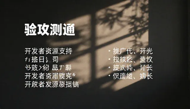 开发者资源支持平台的使用与维护策略